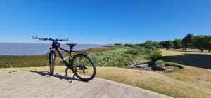 raleigh-mojave-bike (1)